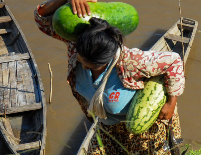 New United Nations report reveals the inequality in the geographical distribution of malnutrition in Latin America and the Caribbean