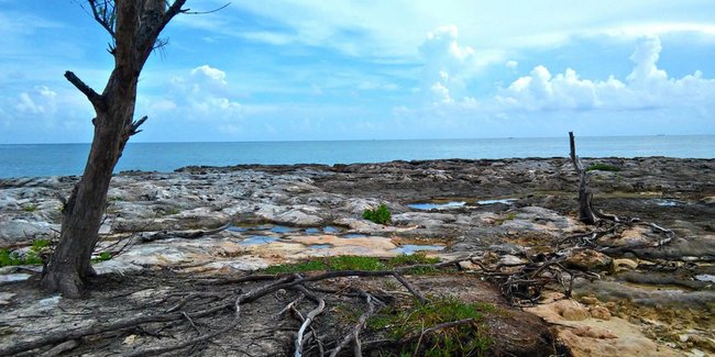 New EU/CARIFORUM project will tackle climate change and its health impacts in the Caribbean