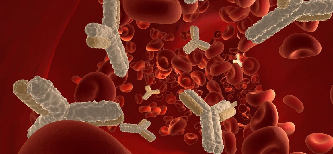 Full-On Reversal of Cardiac Amyloidosis Possible With Antibodies