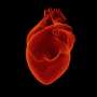 Virtual blood vessel technology could improve heart disease care