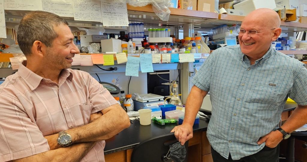 Médicos abogan por nuevos esfuerzos para combatir al Chagas, un asesino silencioso