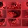 Team delivers breakthrough ‘nanobody’ technology