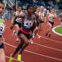 Review highlights racial disparities in sudden cardiac arrest and death among athletes