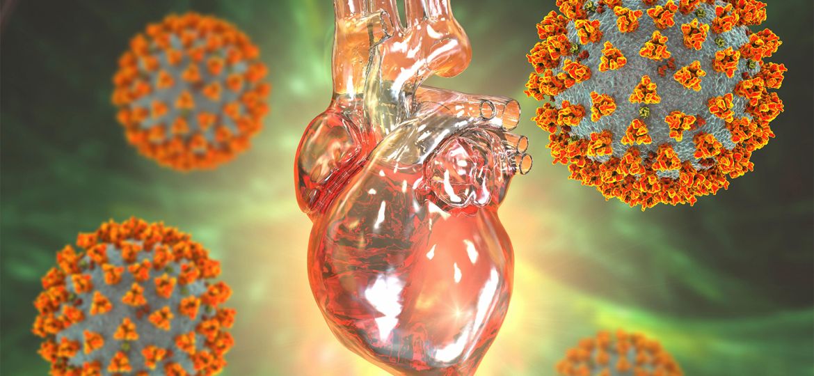 Higher-Than-Usual Number of Cardiovascular Deaths Part of COVID’s Larger Picture