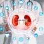 Clinical decision support system does not improve chronic kidney disease outcomes